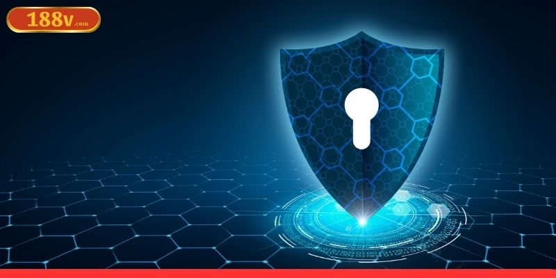 Nội dung quan trọng về sử dụng dịch vụ