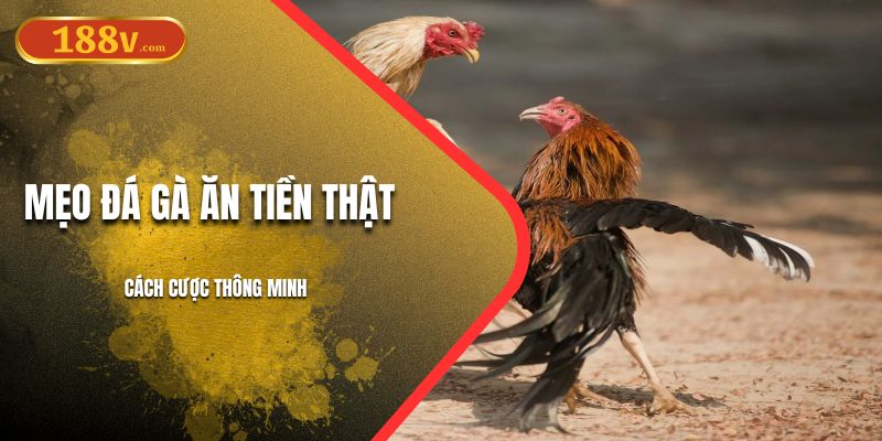 Mẹo Đá Gà Ăn Tiền Thật | Cách cược Thông Minh